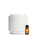Aroma Halo & Vanilla Skies E3