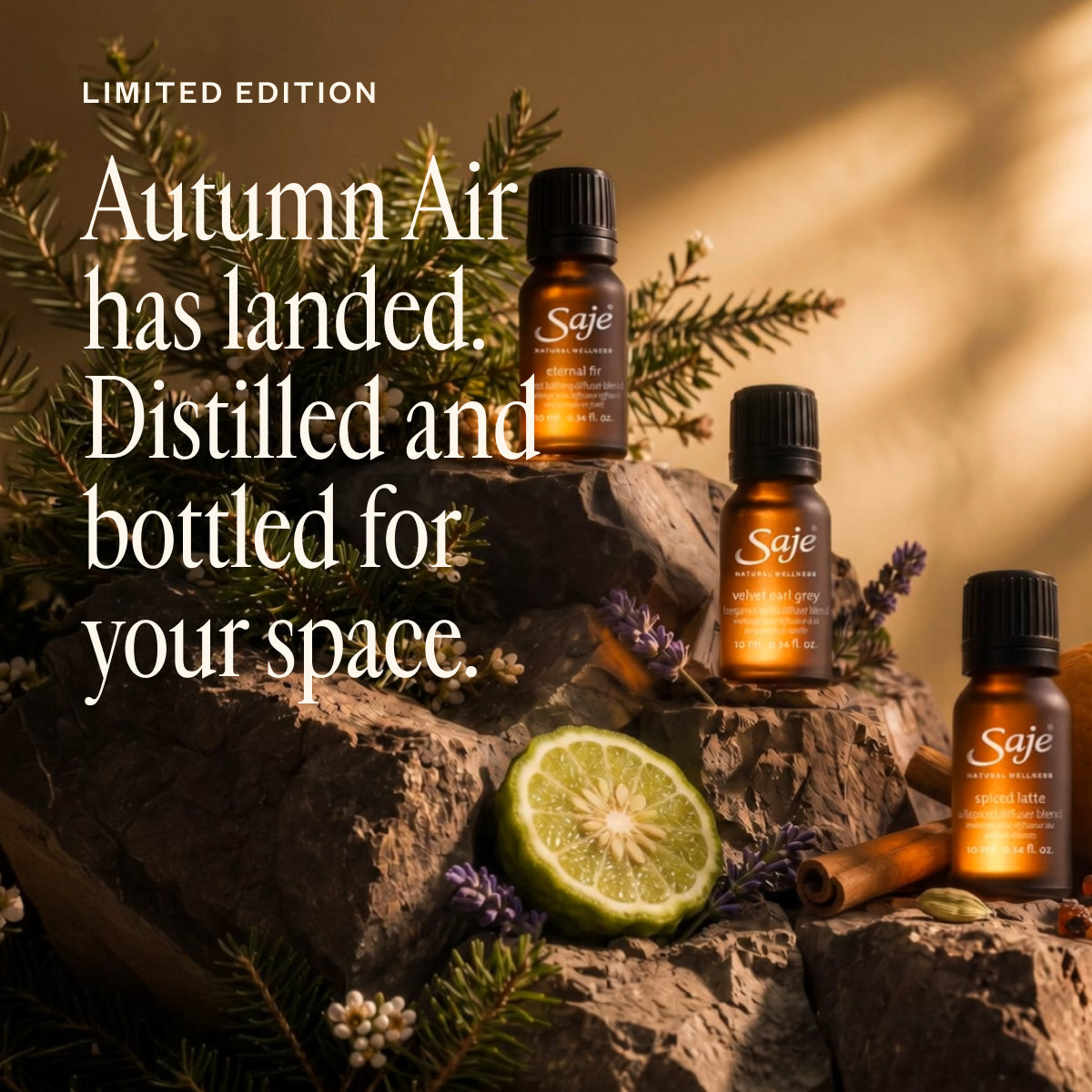 Autumn Air Collection G5