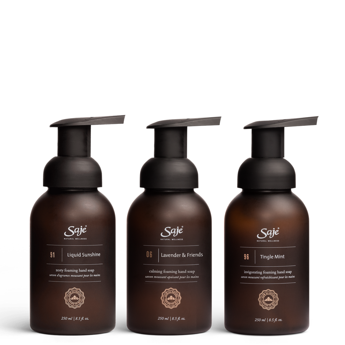 Foaming Hand Soap Trio V2