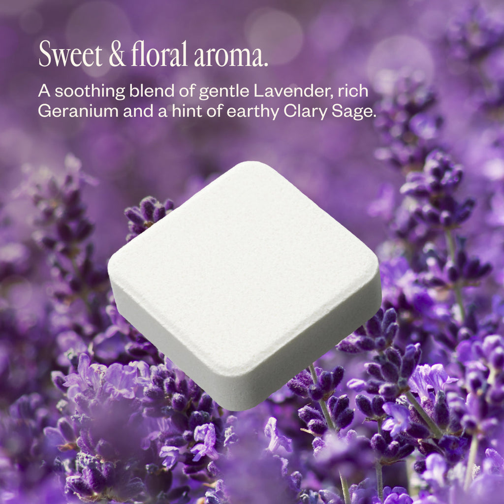 Lavender Bliss X0
