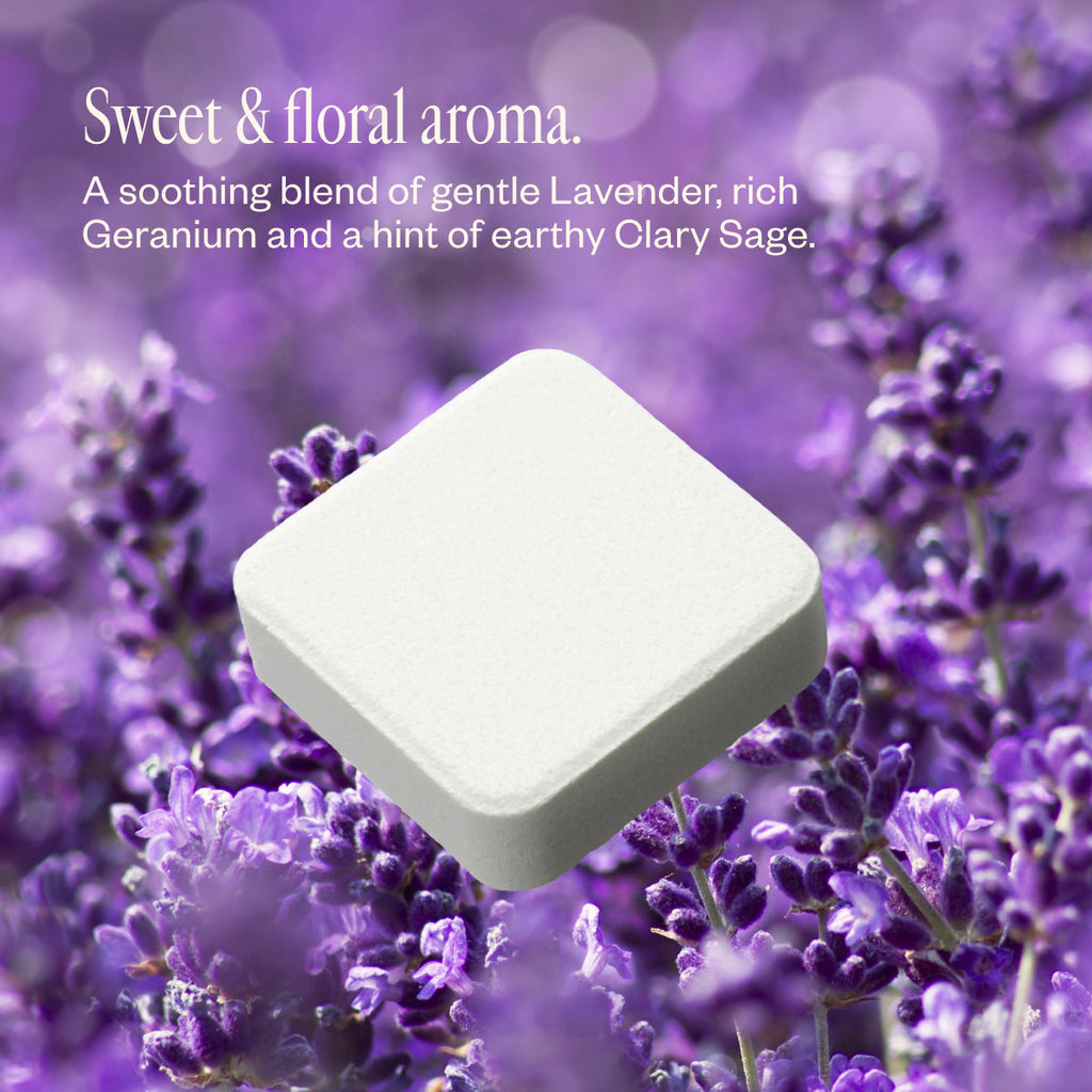 Lavender Lathers Q9