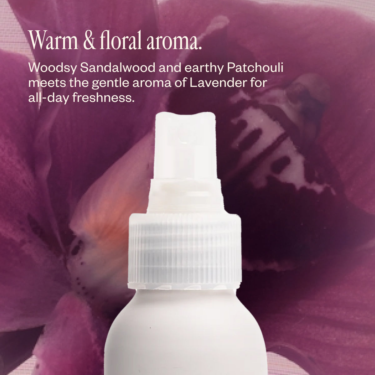 Lavender Lathers Q9