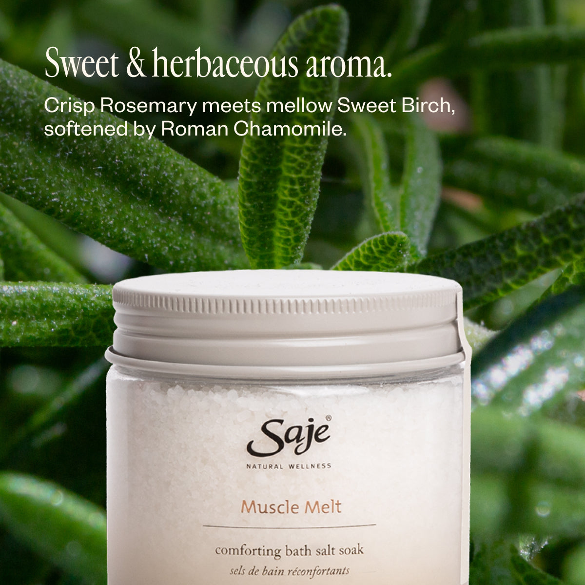 Soothing Soak Trio C2