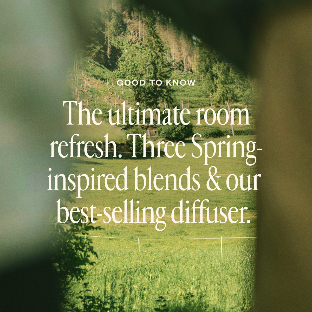 Spring Refresh Diffuser Bundle S0