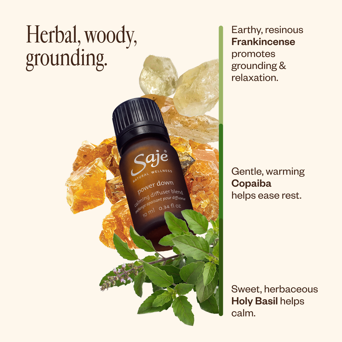 The Day to Night Trio S1