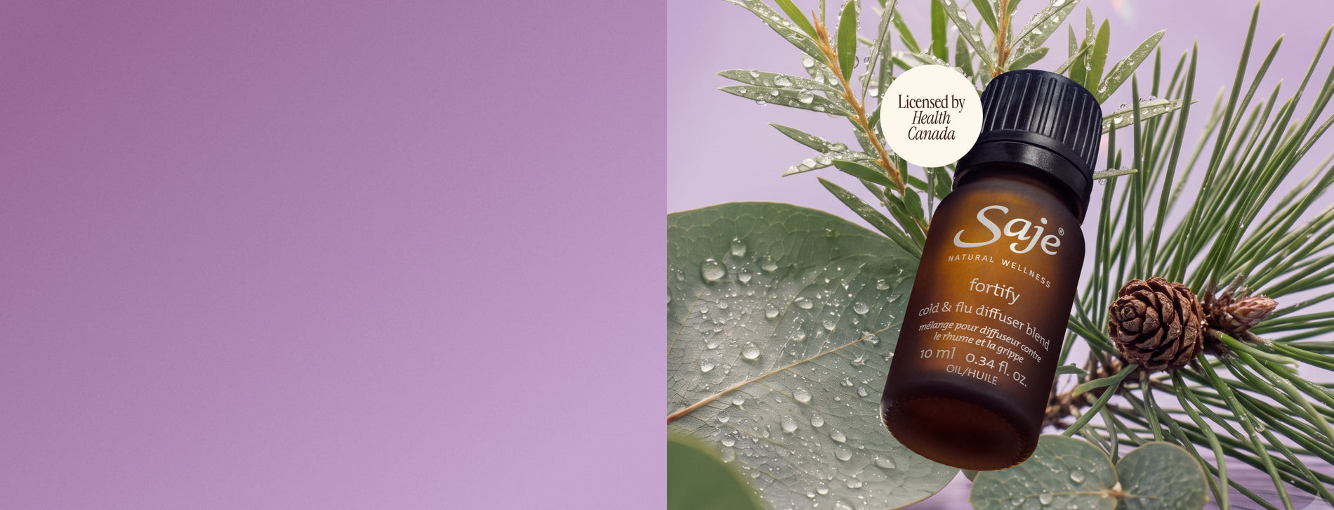 Fortify diffuser blend with eucalyptus, tea tree and pine